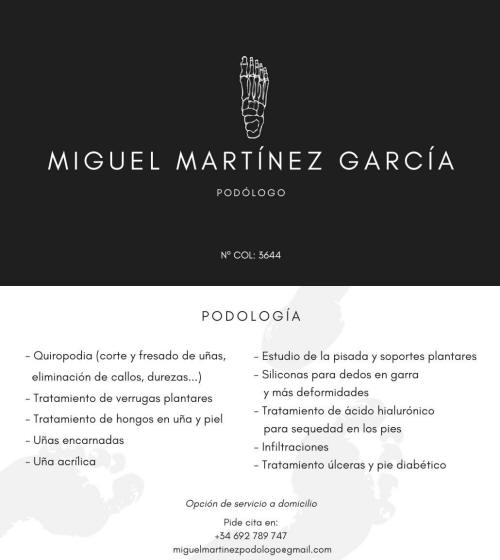 Prodologo en Paterna y Valencia: Miguel Martinez